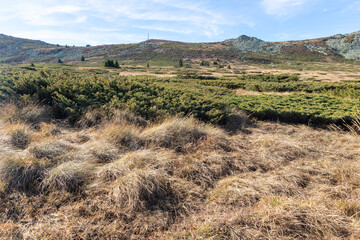 Landscape of Vitosha Mountain at Platoto area, Bulgaria