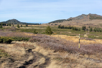 Landscape of Vitosha Mountain at Platoto area, Bulgaria