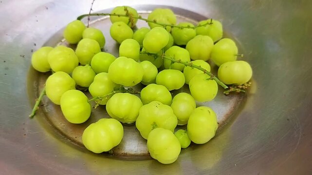 Fresh Phyllanthus acidus or cermai fruit on bowl. Phyllanthus acidus is a fruit that tastes sour and lots of vitamins
