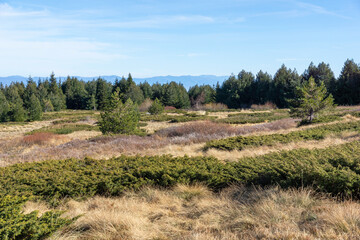Fototapeta premium Landscape of Vitosha Mountain at Platoto area, Bulgaria