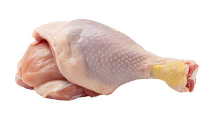 Fresh chicken leg and thigh raw poultry ready for healthy cooking for family dinner or nutritious meal