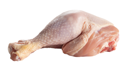 Fresh raw chicken leg ready for cooking, perfect for healthy recipes and culinary creations