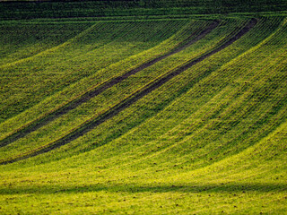 Agrarlandschaft im Spätherbst