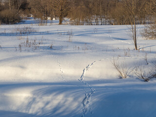 Snowy field with a path in the snow