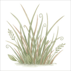 Watercolor prehistoric grass vector isolated on white background jurassic grass
