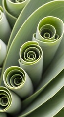 Verdant Spirals of Plant Tissue Creates a Visually Stunning Motif