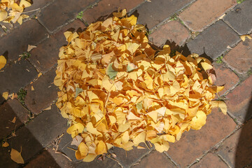 落ち葉のハート