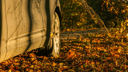 Car tire in autumn leaves on a forest path with sunlight and shadows