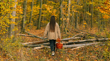 Woman walking in autumn forest with a basket of leaves