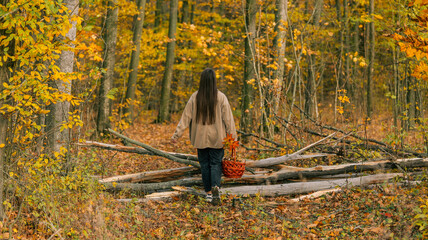 Woman walking in autumn forest with a basket of fall leaves