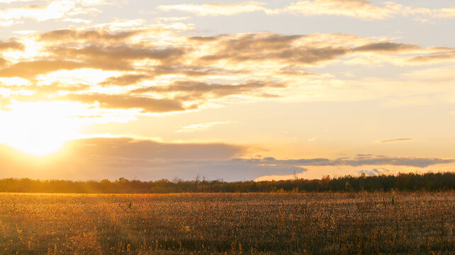 Golden sunset over a field with trees and clouds in the background - Powered by Adobe