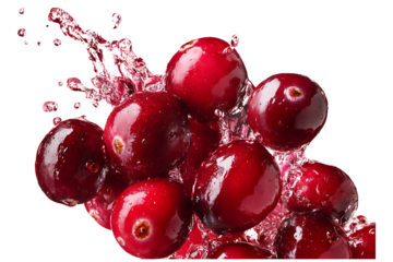 Juicy cranberries with water splash creating vibrant fruit explosion closeup display