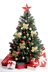 Christmas fir close up shoot