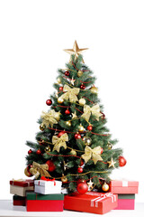 Christmas fir close up shoot