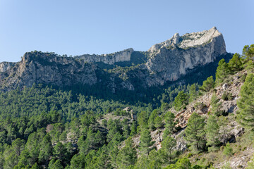 Sunlit rocky mountain ridges near Tarragona, Spain, covered in dense pine forests under a clear blue sky.