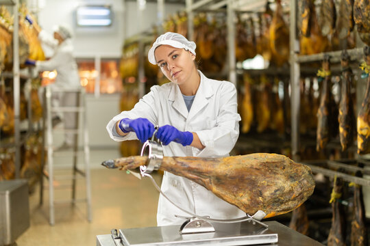 Final stage of production of Spanish meat delicacy is jamon. Girl factory worker places hamon in cutting device jamonero. Serving offer and sale of raw pork air-dried meat..