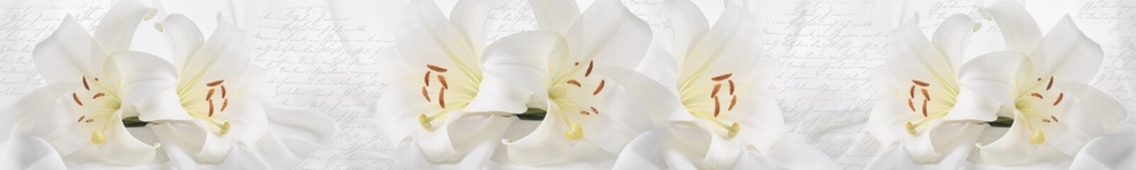 White lily floral panorama with soft petals, gentle light and handwritten script background, elegant decorative skinali panel for interior wall art