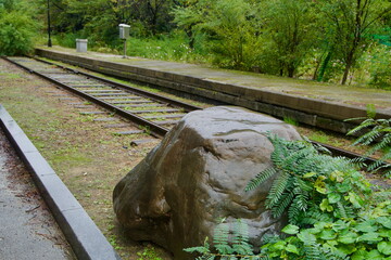 Abandoned Track and Platform