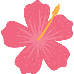 Pink Hibiscus Flower With Yellow Stamen Isolated On Transparent Background Elegant Tropical Floral Element For Summer Designs