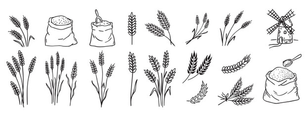 Obraz premium wheat and cereal plants, rye barley and ears of wheat in bag doodle hand drawn icon set. Outline drawing ears of wheat line clipart symbol collection