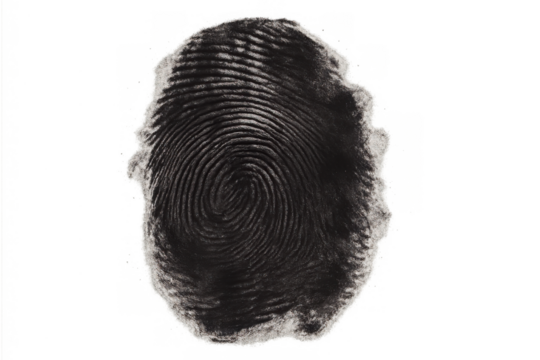 Fingerprint providing biometric security, personal identity and authentication with a transparent background