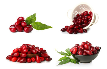 Set of ripe dogwood berries on white background