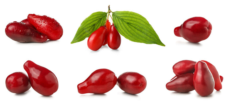 Set of ripe dogwood berries on white background