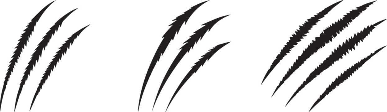 Claw marks vector illustration animal scratch black design damage graphic art