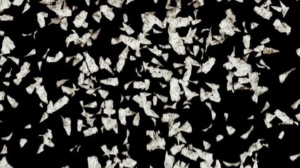falling dollar bills, on black background, global currency