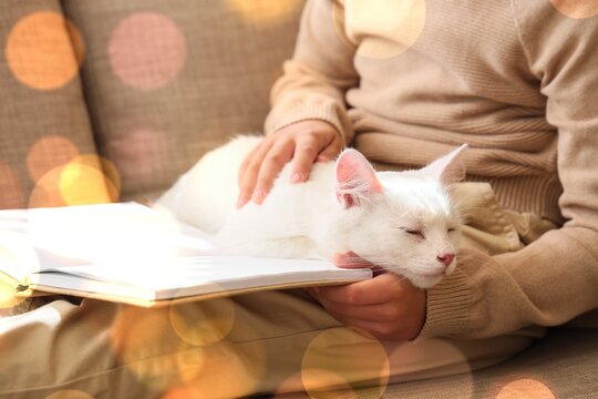 Cute little boy with white cat reading book on sofa, closeup