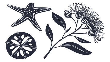 Australian Marine and Botanical Silhouette Set: Starfish, Sand Dollar, Eucalyptus Vector,  Black line art silhouettes including a starfish, a sand dollar, and a flowering eucalyptus branch