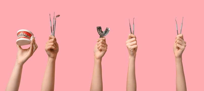 Female hands with dental tools and jaw model on pink background