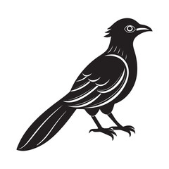 Asian koel silhouette vector icon