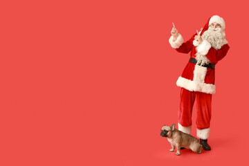 Cute French bulldog and Santa Claus pointing at something on red background