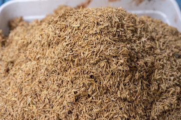 Rice husks in plastic tray. Rice husks are beneficial for planting as they improve soil drainage and aeration, retain moisture, and slowly release nutrients like silica and potassium.