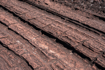 The surface of sun cracks rock in Phu Langka National Park of Bueng Kan province, Thailand. In geology, a crack formed in a rock by exposure to the sun's heat at the time the rock was consolidating.