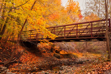 bridge in autumn, atmospheric pleasure dull sky, fall season