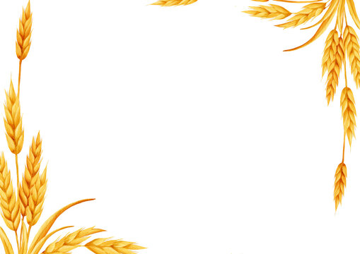 Watercolor frame with golden wheat ears arranged in the corners on a white background, creating a natural botanical border suitable for labels, packaging, invitations and seasonal designs