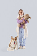 Fototapeta premium Cute smiling girl with Corgi dog and teddy bear in scarves on grey background