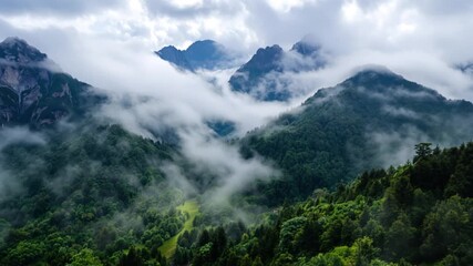 Beautiful summer mountain landscape view with green forest, rocky peak, and mist in the morning sky - Powered by Adobe