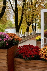 Vibrant autumn flowers bloom in wooden planters by a park path, surrounded by golden leaves and open doors. The colorful display creates a charming and inviting outdoor scene.