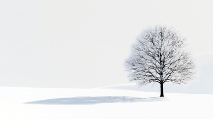 A solitary, leafless tree adorned with frost stands against a bright, snowy backdrop, casting long shadows on the ground.