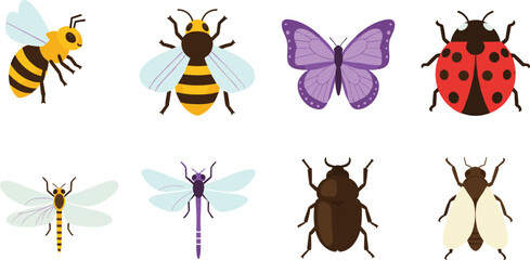 Cartoon insects set, bee, butterfly, ladybug, dragonfly, beetle, fly, colorful bugs, vector illustration, cute design, educational art