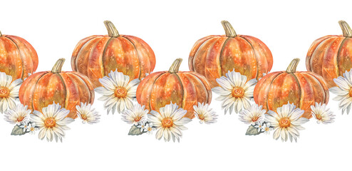 Watercolor autumn seamless border with pumpkin and chamomile on white background. Hand-drawn bloom flower chrysanthemum or daisy for card. Rim with vegetable for invite. Wallpaper or wrapping