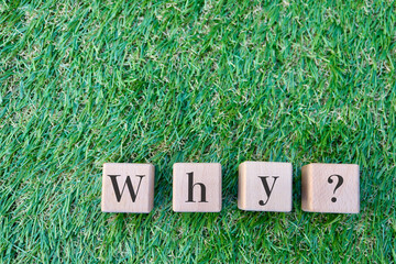 芝生の上のWhyブロックとコピースペース。問題提起イメージ。