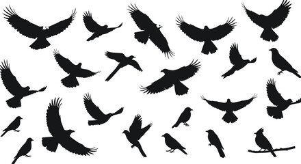 Silhouette vector illustration of multiple flying and perched birds in various poses, perfect for nature designs, wildlife graphics, freedom concepts, and creative artistic compositions