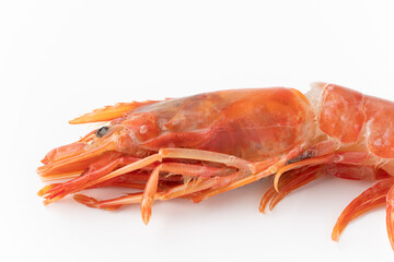 生のアカエビの頭部のクローズアップ