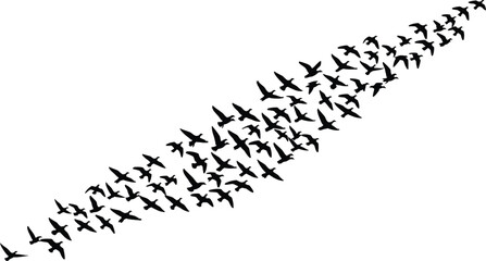 Silhouette vector illustration of a large flock of migrating birds flying in formation, perfect for wildlife themes, nature concepts, seasonal travel, and freedom inspired designs © Shoentesh