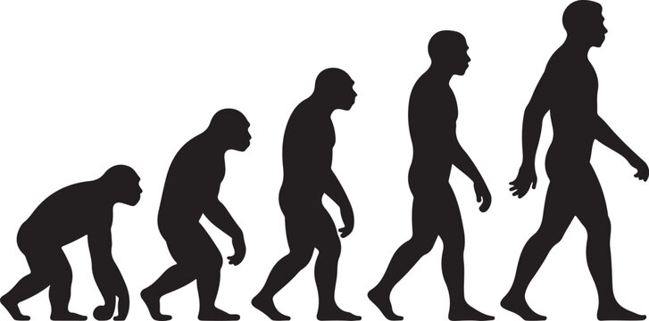 Silhouette of theory of evolution of man