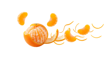 Fresh peeled mandarin orange slices floating in an arrangement on white